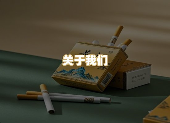 关于我们